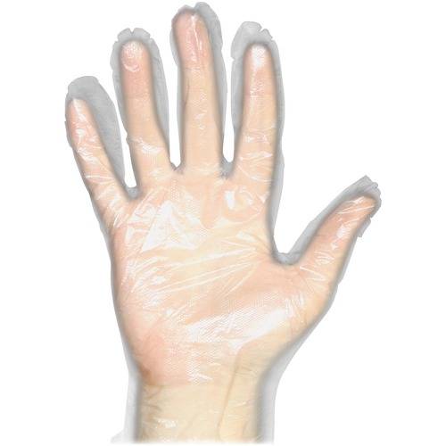 Protected Chef Disposable General Purpose Gloves