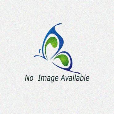 Instant Cold Pack Mckesson Deluxe General Purpose Large 6-4/5 X 9 Inch Fabric / Ammonium Nitrate / Water Disposable(24/CA)