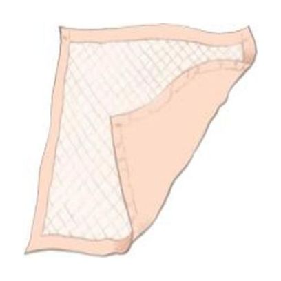 Dignity Plus Underpad, 30" X 36", Latex Free Part No. 333607 (100/Case)